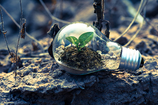 Globe in dirt