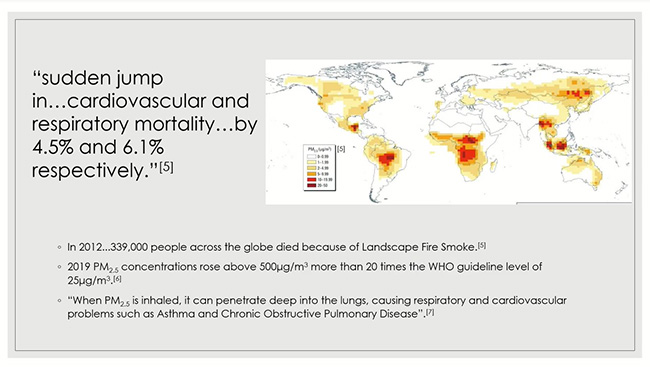 heat map of global smoke deaths due to landscape fires.