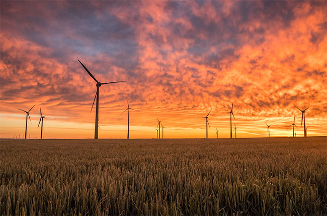 Wind turbines in a field at sunset.