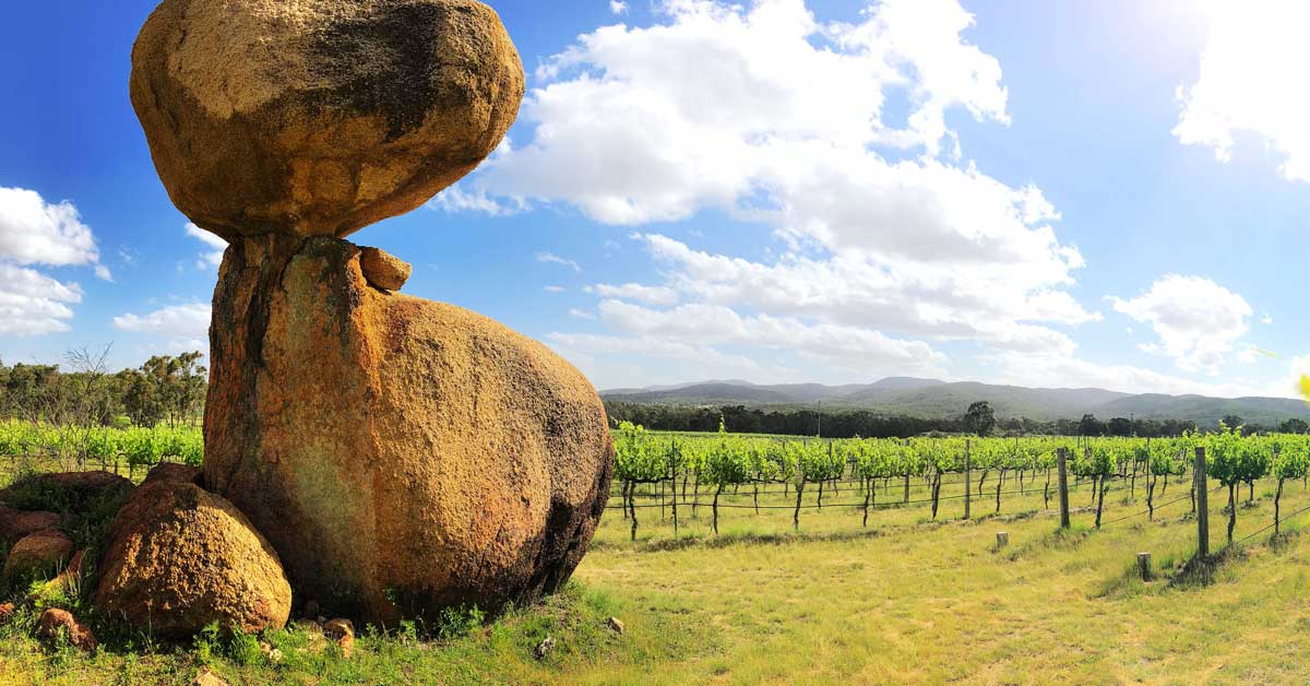 Balancing Rock Wines vineyard